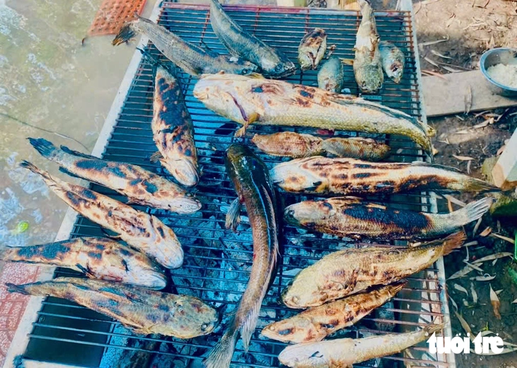 - Ảnh 2.