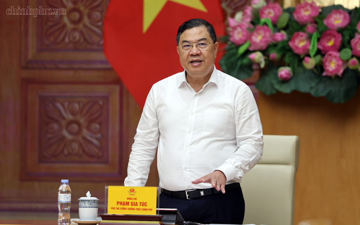 Phó thủ tướng thường trực: Kiểm soát doanh nghiệp nhập khẩu tăng đột biến khi nhập siêu hơn 20,3 tỉ USD - Ảnh 1.