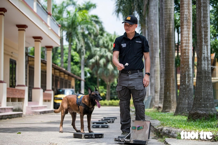 Xem cảnh vệ huấn luyện cảnh khuyển ‘tung đòn’ tấn công tội phạm, đánh hơi tìm ma túy, thuốc nổ - Ảnh 10.