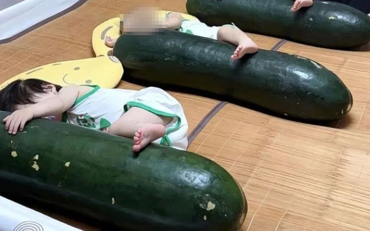 Bị bắt vì cho khỉ, vượn cáo... 'làm mẫu' - Ảnh 4.