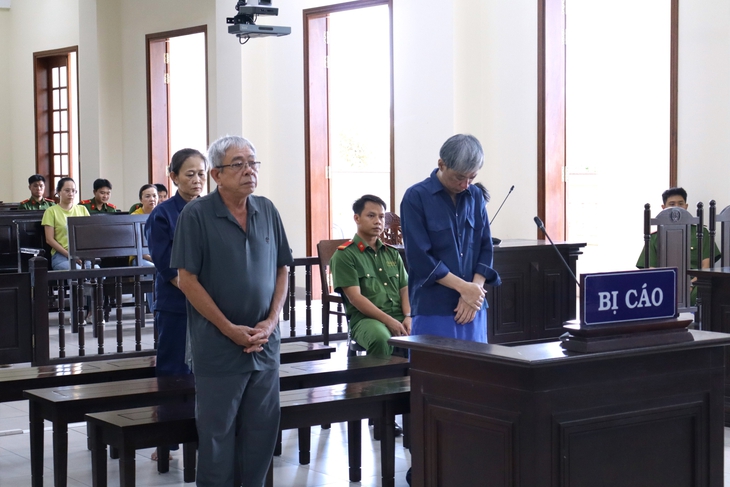 Công chứng trái luật tại Cần Thơ: Trưởng văn phòng bị phạt 3 năm tù - Ảnh 1.