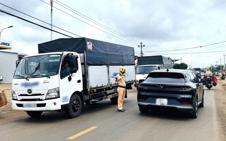 Những cây trăm tuổi kể chuyện vùng sầu riêng, cà phê Đắk Lắk - Ảnh 6.