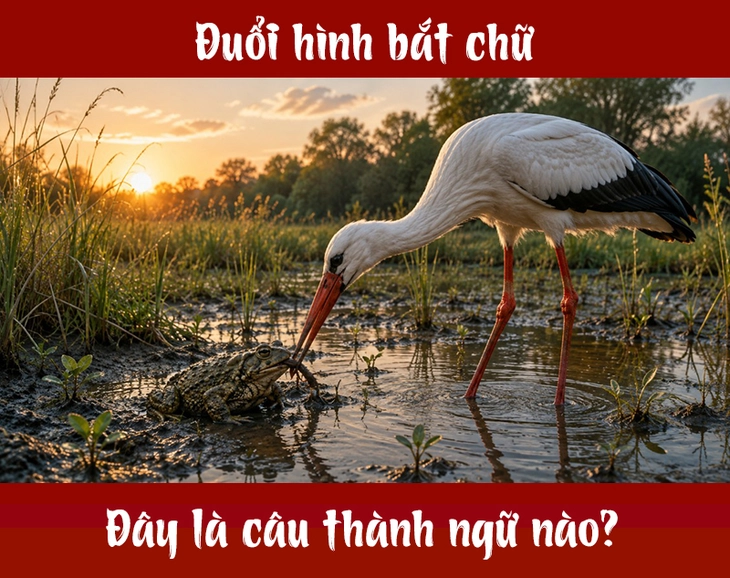Thành ngữ quen thuộc này là gì? (P110) - Ảnh 1.