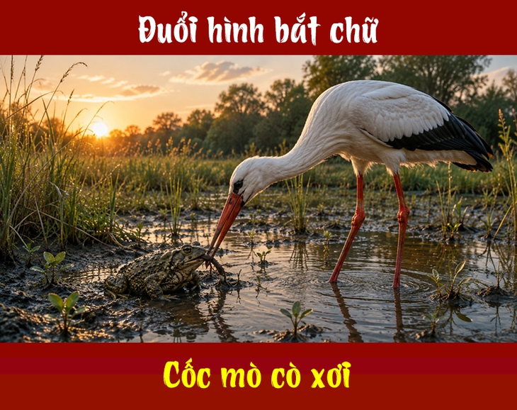 Thành ngữ quen thuộc này là gì? (P110) - Ảnh 1.