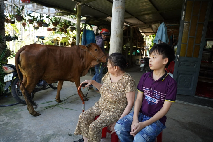 Dắt chú bò giống về tận xóm trao cho hai bà cháu cùng bệnh ung thư - Ảnh 4.