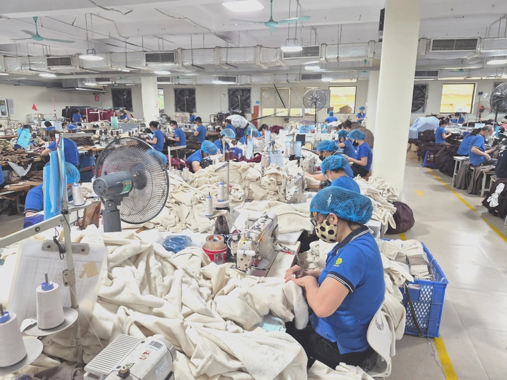 Ứng phó trước nghi vấn gian lận xuất xứ từ 'mạng lưới ngầm' hàng xuất khẩu sang Mỹ ra sao? - Ảnh 2.