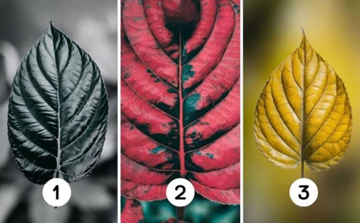 Quiz: Bạn lãng mạn mức nào? - Ảnh 1.