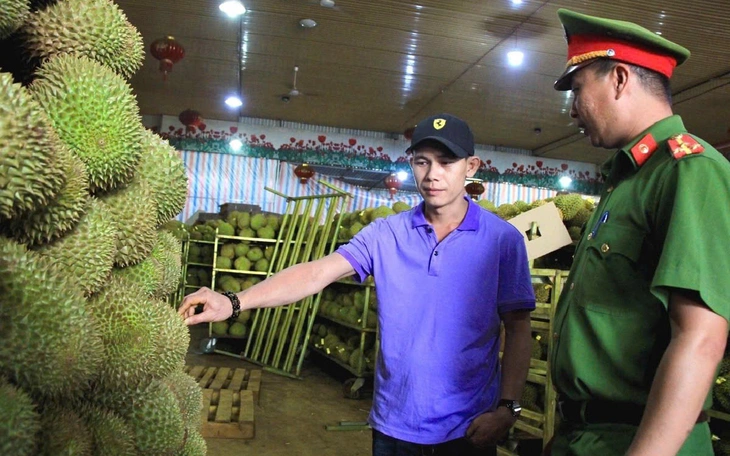 Truy tố người tự nhận chủ vườn sầu riêng, chiếm đoạt 6 tỉ đồng tiền đặt cọc mua trái - Ảnh 2.