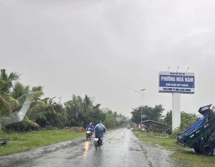 Cần Thơ: Mưa dông nhiều nơi, triều cường vượt báo động 1 - Ảnh 1.