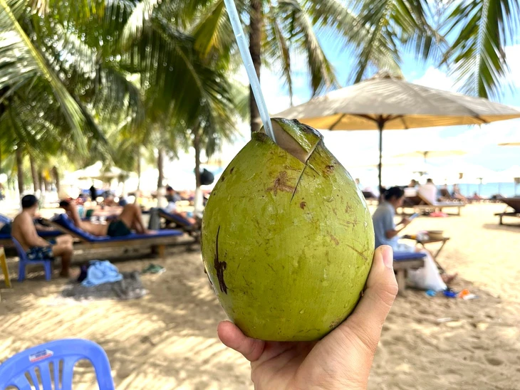 Thuê bãi biển Nha Trang đặt ghế, dù cho du khách - Ảnh 2.