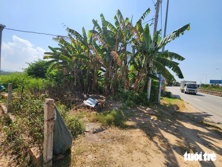 Vụ đấu giá đất không có thực ở Quảng Ngãi: Chính quyền thừa nhận lưu trữ hồ sơ không đầy đủ - Ảnh 1.