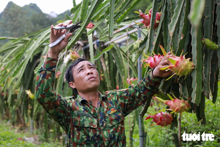EU sắp siết dư lượng nhiều thuốc bảo vệ thực vật, nông dân, doanh nghiệp xuất khẩu cần làm gì? - Ảnh 1.