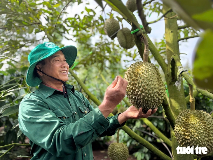 EU sắp siết dư lượng nhiều thuốc bảo vệ thực vật, nông dân, doanh nghiệp xuất khẩu cần làm gì? - Ảnh 4.
