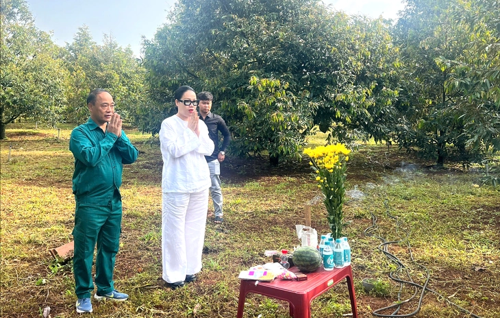 Cảnh giác chiêu mua sầu riêng giá cao rồi 'bẻ cọc', xù tiền - Ảnh 2.