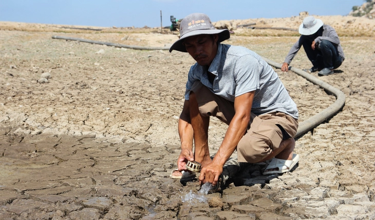 El Nino duy trì cường độ mạnh đến rất mạnh tới đầu năm 2027, cảnh báo thiếu hụt mưa ở Trung và Nam Bộ - Ảnh 1.