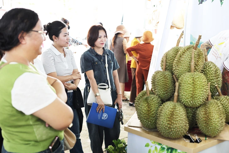 Xuất khẩu sầu riêng Việt Nam chủ yếu thị trường Trung Quốc - Ảnh 1.