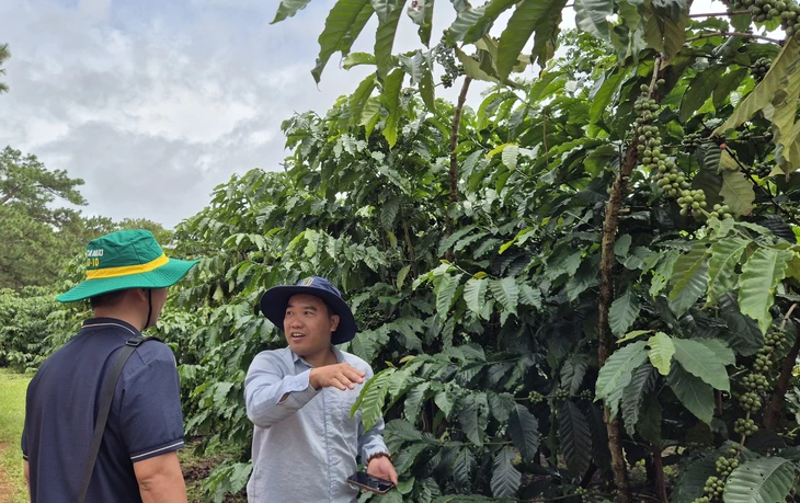 Hương vị cà phê của ký ức - Ảnh 1.