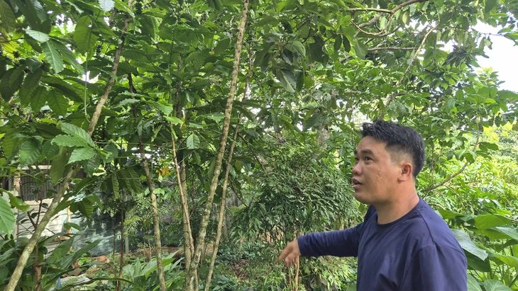 Hương vị cà phê của ký ức - Ảnh 2.