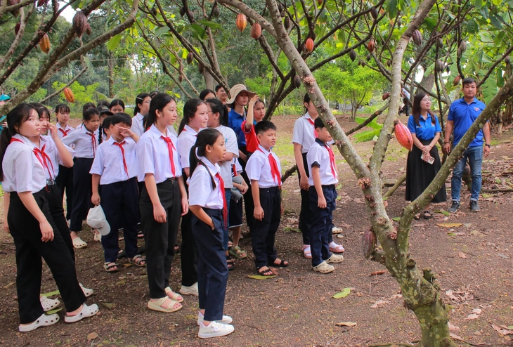 Trẻ em hào hứng làm nông dân nhí , trồng nấm và bắt cá tại TP . HCM - Ảnh 3.