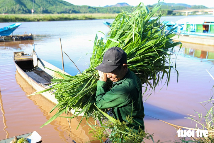 Người dân Phong Nha đi cắt cỏ 5 năm mới nuôi được một lứa cá đặc sản - Ảnh 2.