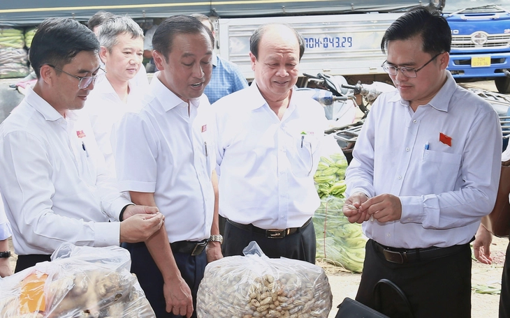 TP.HCM: Tiêu huỷ hàng chục tấn thịt bẩn - Ảnh 3.