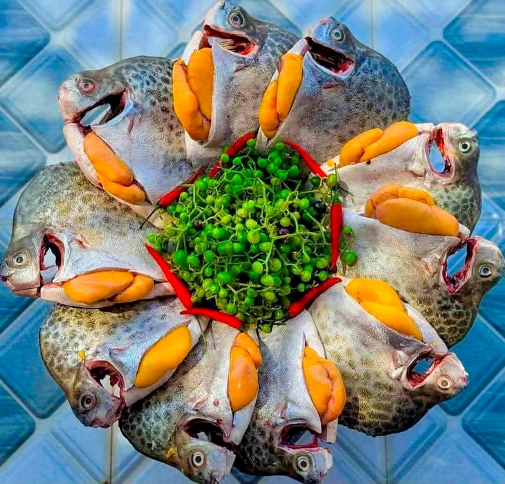 Cá nâu Cà Mau: Từ bùn lầy dưới vuông tôm vươn mình thành đặc sản thương hiệu - Ảnh 1.