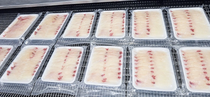 Cá rô phi đơn tính đang giá cao, nhưng vì sao người nuôi chưa mặn mà? - Ảnh 1.