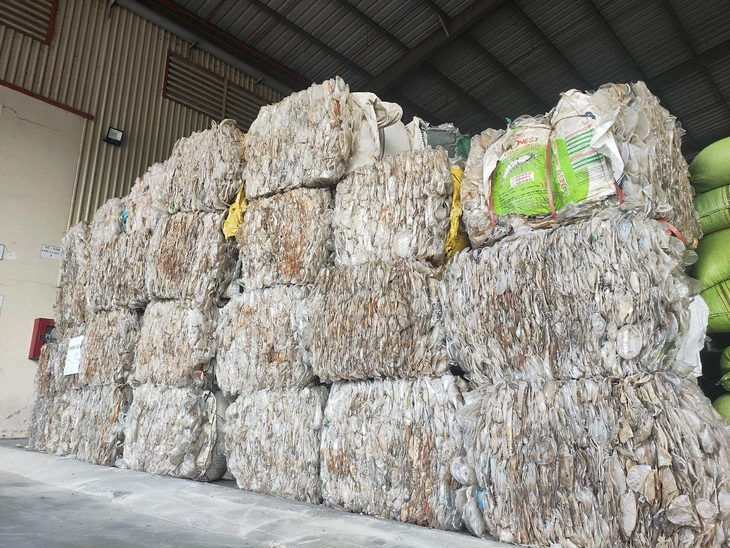 - Ảnh 3.