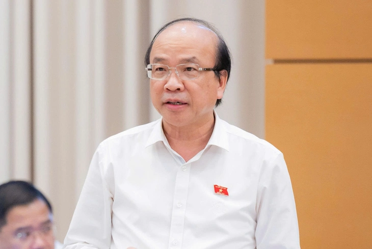 Thứ trưởng Bộ Công an đề xuất bỏ hình phạt tử hình ở 6 tội danh - Ảnh 2.