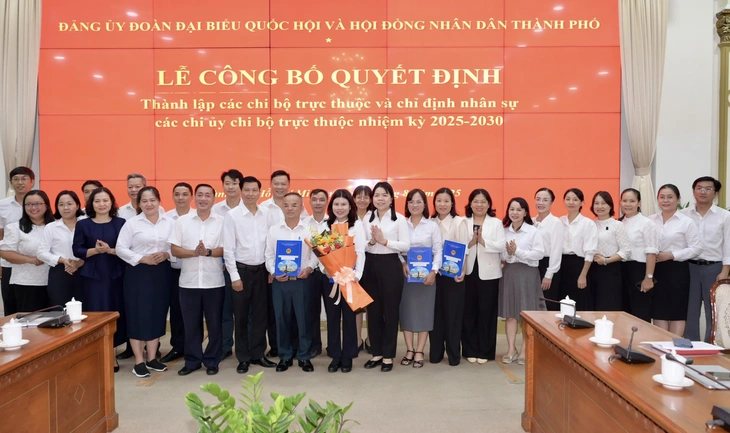 Thành ủy TP.HCM thí điểm thành lập 2 đảng bộ cơ sở trực thuộc - Ảnh 1.