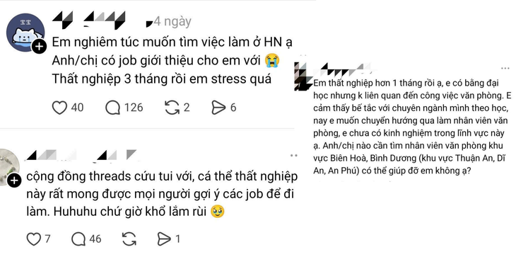 Tốt nghiệp nhưng ứng tuyển hoài không ai nhận, nhiều bạn trẻ hoang mang - Ảnh 2.