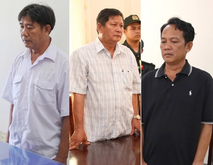 3 cán bộ thú y bị bắt trong vụ heo bệnh bán ra chợ ở Cần Thơ: "Một, hai con sâu làm rầu cả nồi canh" - Ảnh 1.