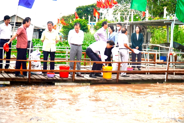 Đàn cá tự nhiên trên sông Tiền được định hướng thành điểm nhấn đô thị Hồng Ngự - Ảnh 1.