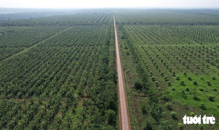 Lương, thu nhập tại các doanh nghiệp có vốn nhà nước trước sắp xếp ra sao? - Ảnh 2.