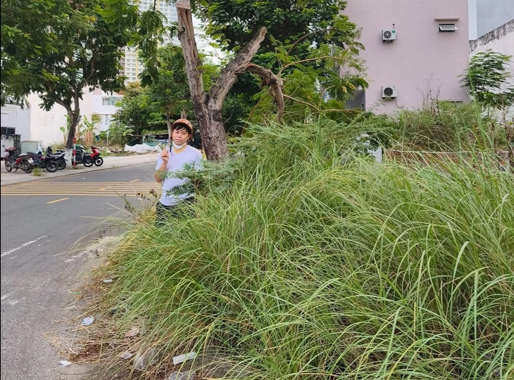 Phường ở Đà Nẵng tặng giấy khen cho 3 người kênh TikTok 'Trí đi dọn' - Ảnh 1.