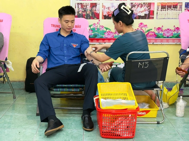 Tuổi trẻ TP.HCM lan tỏa tháng Tám lịch sử bằng về nguồn, tuyến hẻm xanh, sẻ chia giọt máu hồng - Ảnh 5.