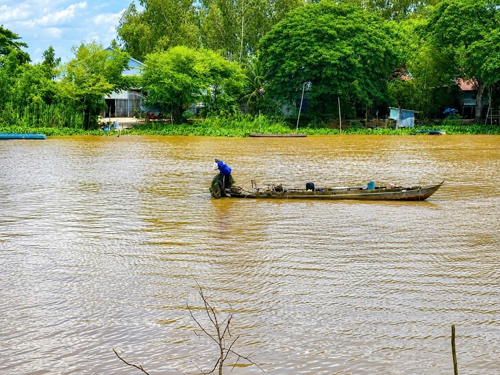 Có nên đánh bắt tận diệt cá linh non? - Ảnh 2.
