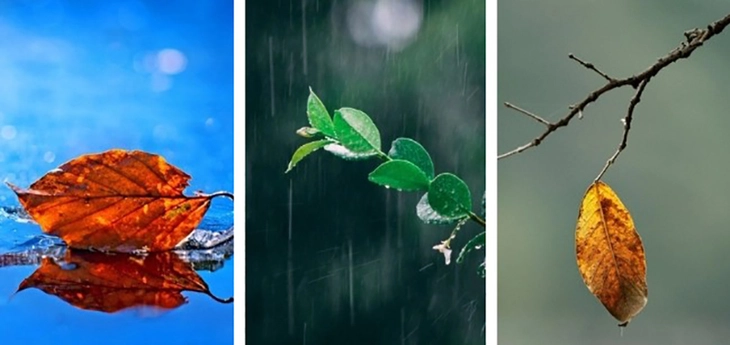 Quiz: Bạn cần buông bỏ gì để gặp được may mắn? - Ảnh 1.