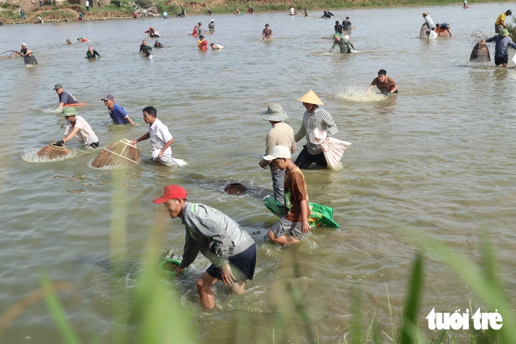 Hằng trăm người lao xuống đầm, nô nức nơm cá - Ảnh 5.