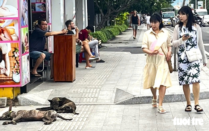 ‘Đụng tới cái ví là sợ liền’ - Ảnh 4.