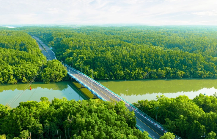 Bí thư xã Cần Giờ: Bài toán sắp tới là quản trị cả tỉ phú và nông dân trong 'siêu phường' 300 ngàn dân - Ảnh 4.