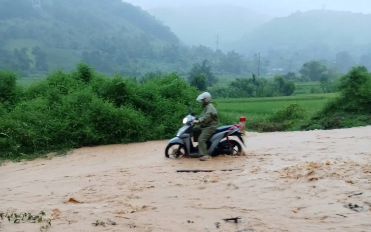 Mưa lớn ngập cầu chia cắt nhiều bản làng Nghệ An, trâu chết, cây đổ - Ảnh 10.