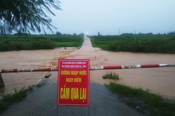 Mưa lớn ngập cầu chia cắt nhiều bản làng Nghệ An, trâu chết, cây đổ - Ảnh 8.