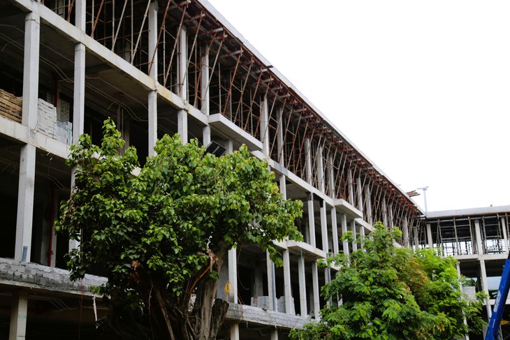 Trường học giữa trung tâm Đà Nẵng ngổn ngang trước thềm năm học mới - Ảnh 3.