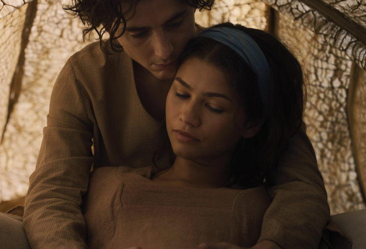 Năm của Zendaya - Ảnh 6.