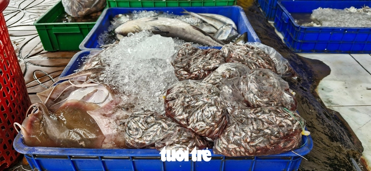 Cá linh thật, cá linh giả, làm sao phân biệt? - Ảnh 2.