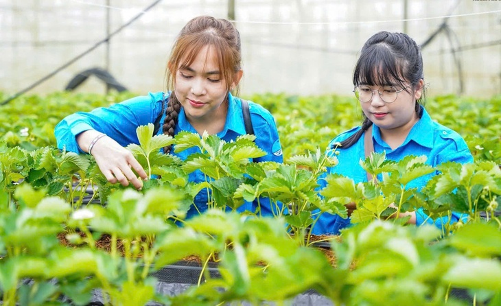 Bạn trẻ TP.HCM học tập mô hình khởi nghiệp tại Sapa -Lào Cai - Ảnh 1.