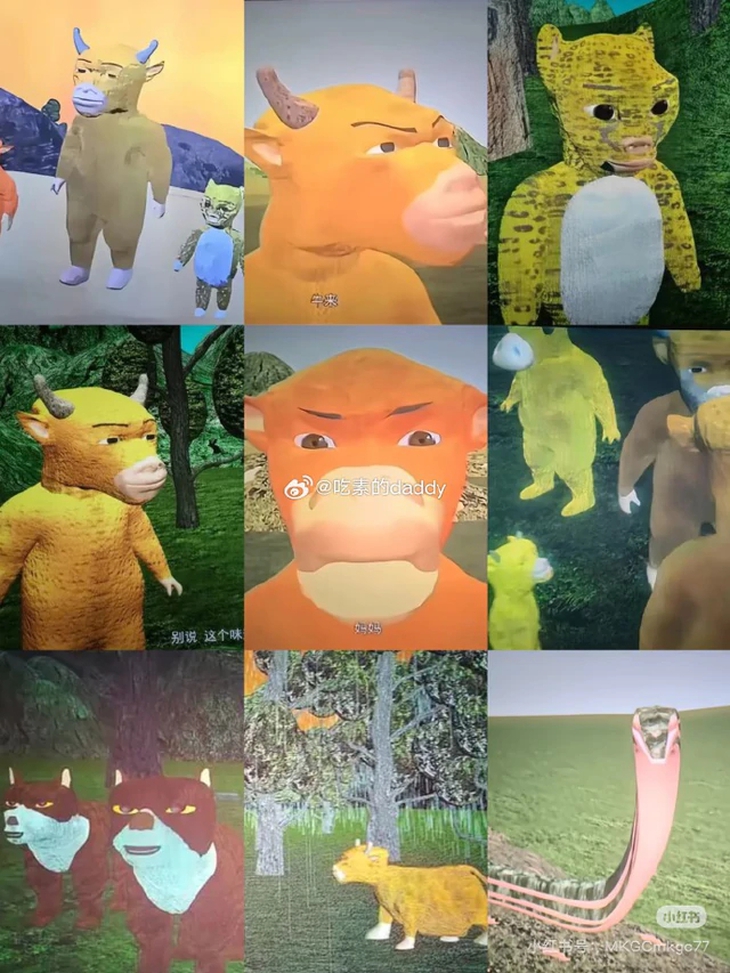  - Ảnh 4.