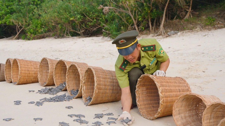 Cocoon Việt Nam hỗ trợ 300 triệu đồng bảo tồn rùa biển tại Côn Đảo - Ảnh 2.