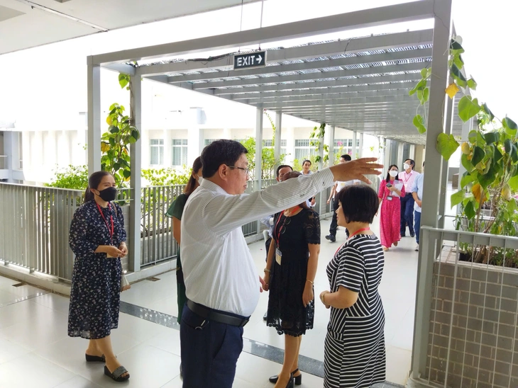 Học sinh TP.HCM ngủ trưa bán trú… 'giường hạng sang' - Ảnh 2.